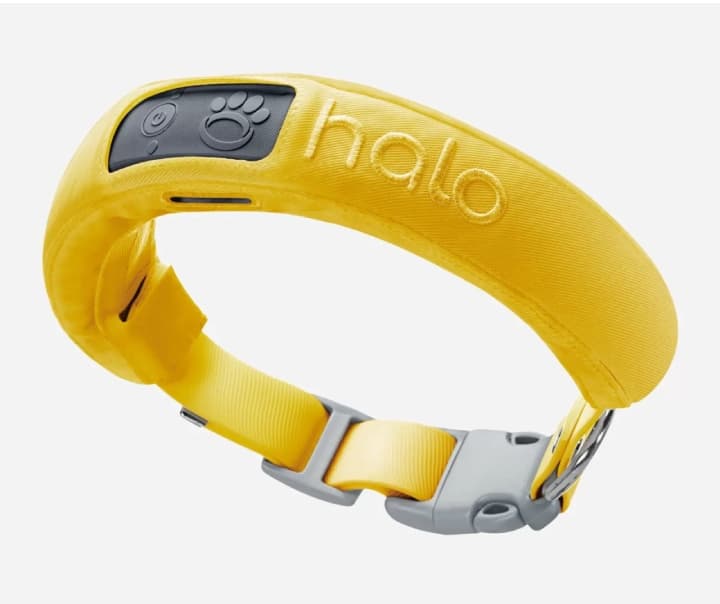 Halo Collar Review: Gift Your Dog Something Special