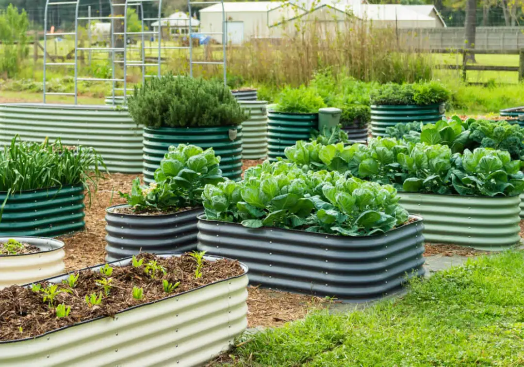Vego Garden Review: A 20-Year Claim With a 2-Year Warranty