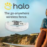 Halo Collar Review