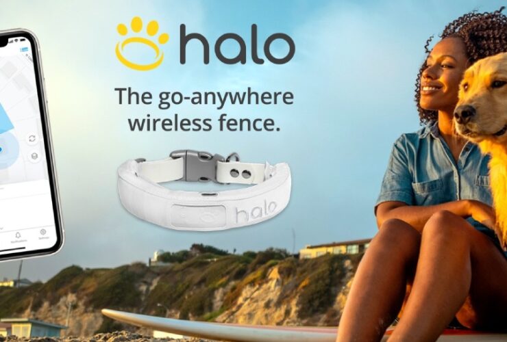 Halo Collar Review