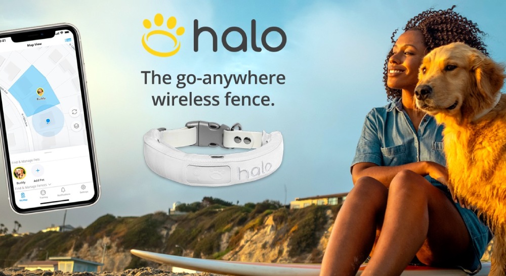 Halo Collar Review