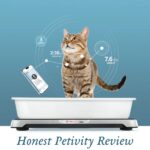Petivity Review