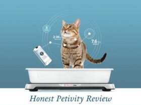 Petivity Review