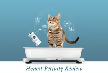 Petivity Review
