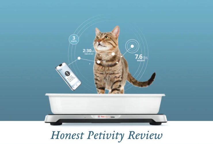 Petivity Review