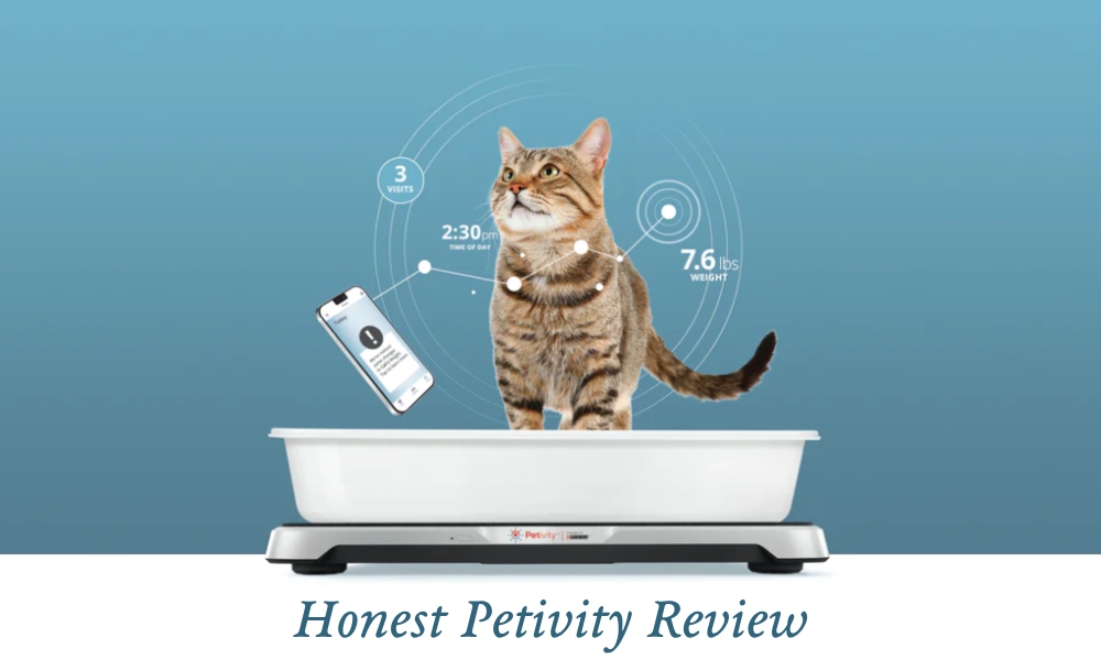 Petivity Review